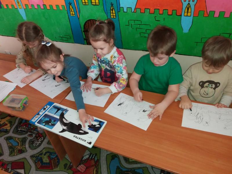 Кирилл:  Частный детский сад 