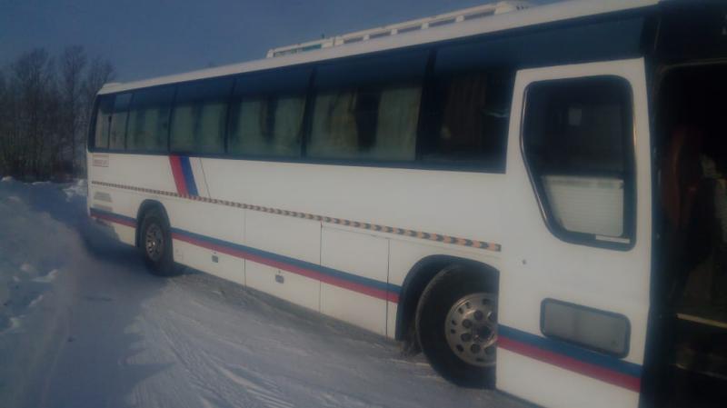 Степанов Анатолий:  Комфортабельные автобусы разной вместимости