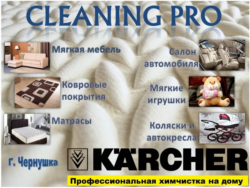 Cleaning:  Химчистка мебели и ковров 