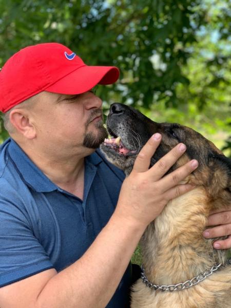 Александр Тараненко: Дрессировка собак в Самаре