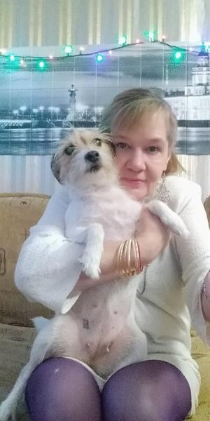Елена Владимировна Баталова:  Детский садик для щенят 