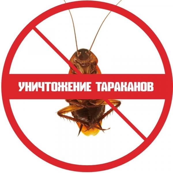 Татьяна:  Уничтожение тараканов в Новокуйбышевске