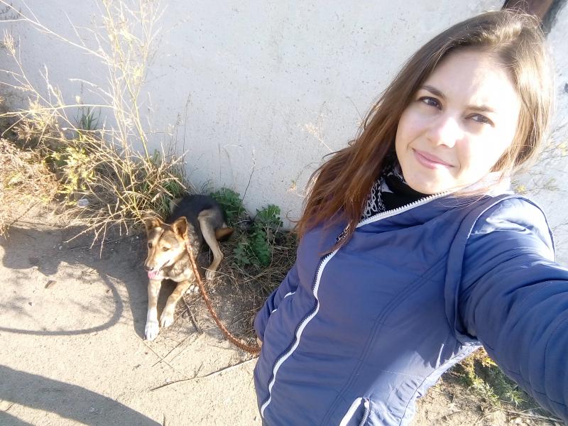 Самойлова Екатерина:  Выгул собак.