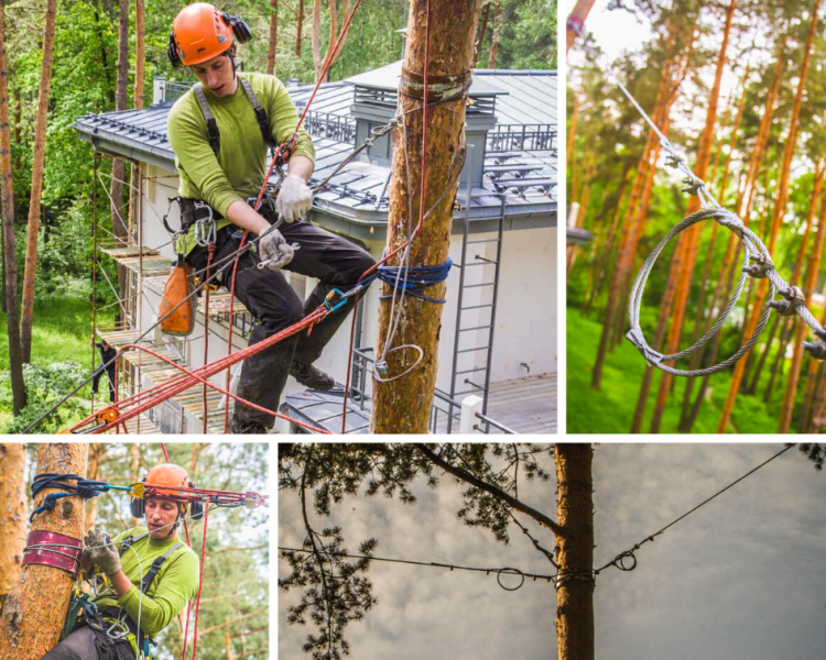 Дмитрий:  Каблинг – укрепление деревьев стальными тросами
