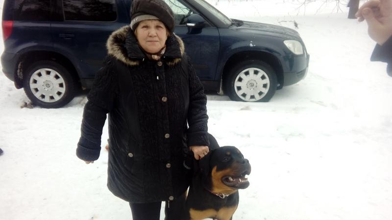 Предлагаю кабеля  для вязки