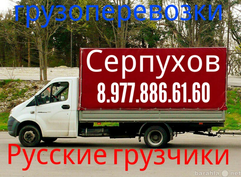 Возим грузим:  Грузоперевозки Газели для перевозки 8.977.886.61.60 