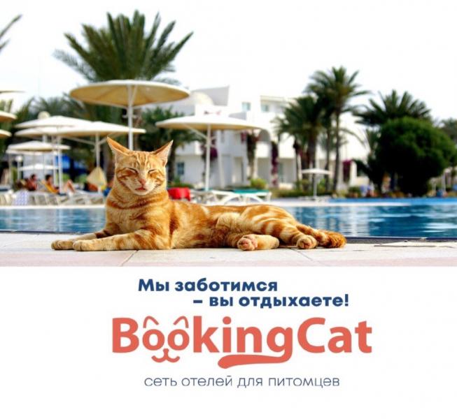 BookingCat:  Зоогостиница, Передержка, Груминг салон