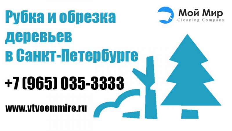 Данила:  Услуги по спилу и обрезанию деревьев в Санкт-Петербурге
