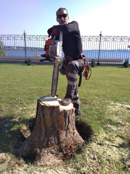 Сергей Кузнецов:  Спил ,снос , обрезка деревьев в Новосибирске 