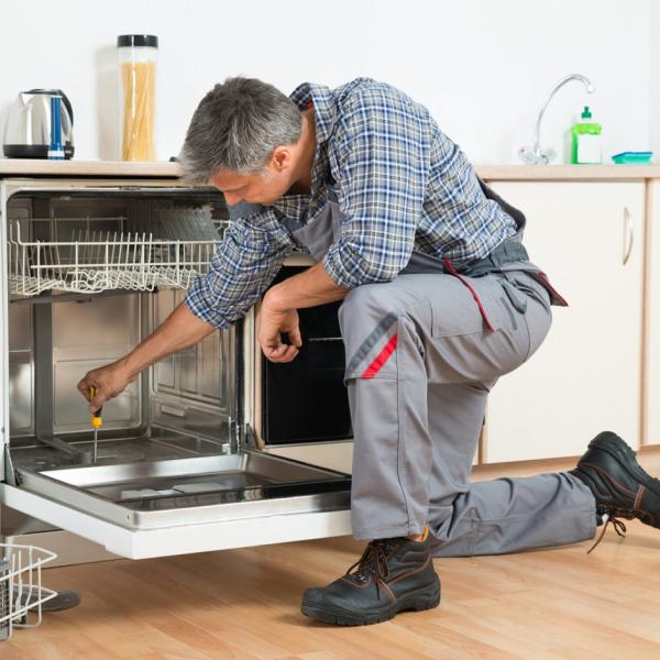 Два Мастера :  Ремонт посудомоечных машин на дому