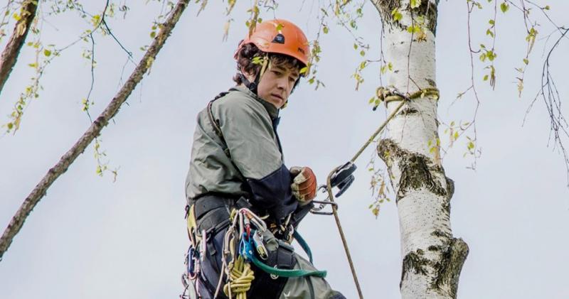 Кирил:  Спилить обрезать дерево в Новосибирске