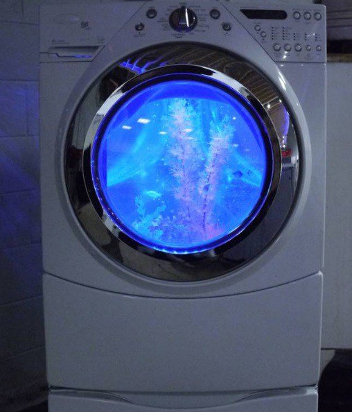 дмитрий:  ремонт стиральных машин