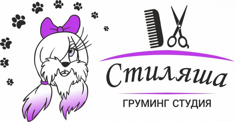 Анастасия :  Стрижка собак и кошек груминг-студия Стиляша