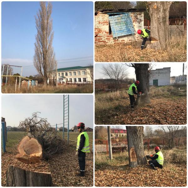 Ярослав:  Профессиональный спил деревьев и кустарников