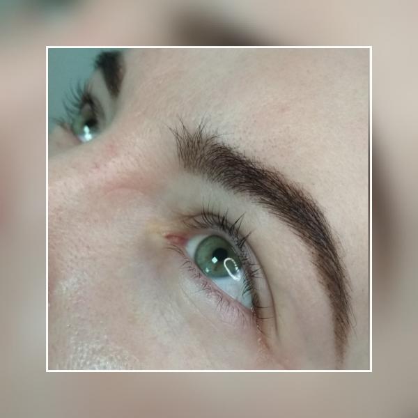 Модели на окрашивание бровей, ламинирование ресниц