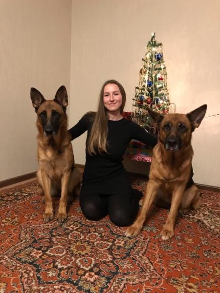 Светлана:  Дрессировка собак в Тюмени