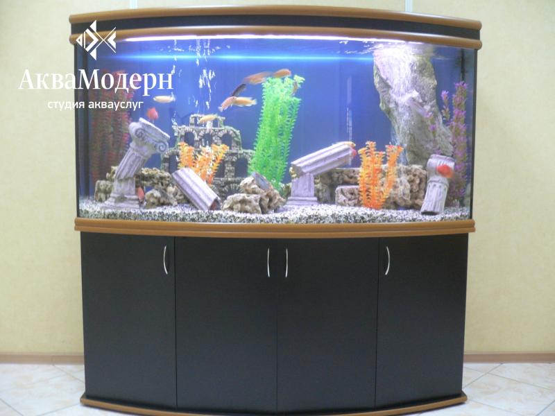 АкваМодерн:  Обслуживание чистка аквариумов в СПб