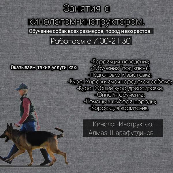 Алмаз Шарафутдинов:  Дрессировка собак в Чистополе