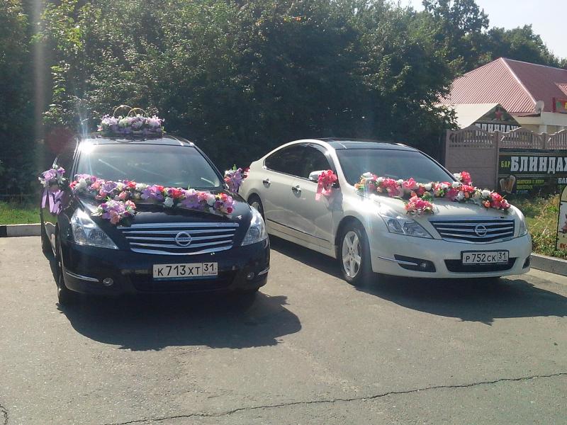 анна:  авто на свадьбу