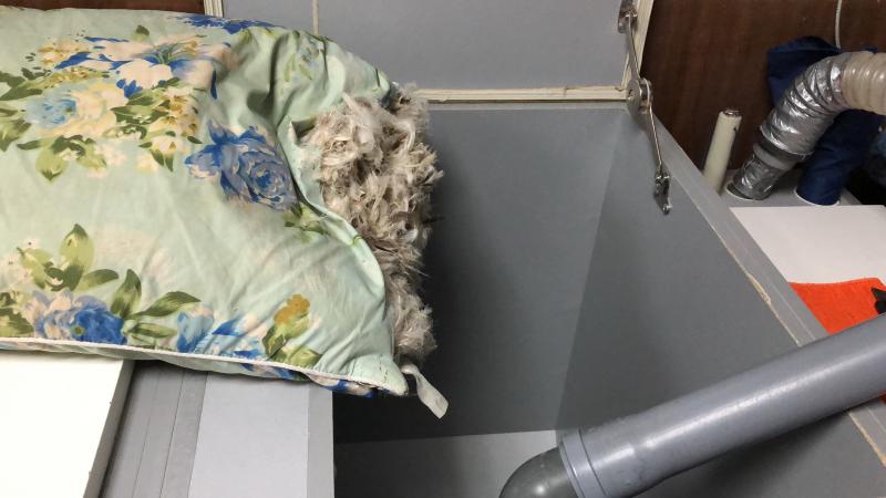 Онлайн-заявки. Сухая чистка подушек и одеял пух-перо