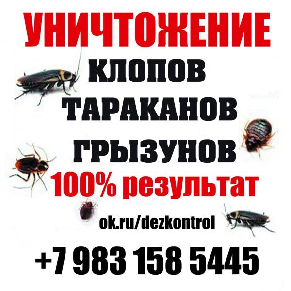 100% уничтожение любых насекомых, грызунов! 