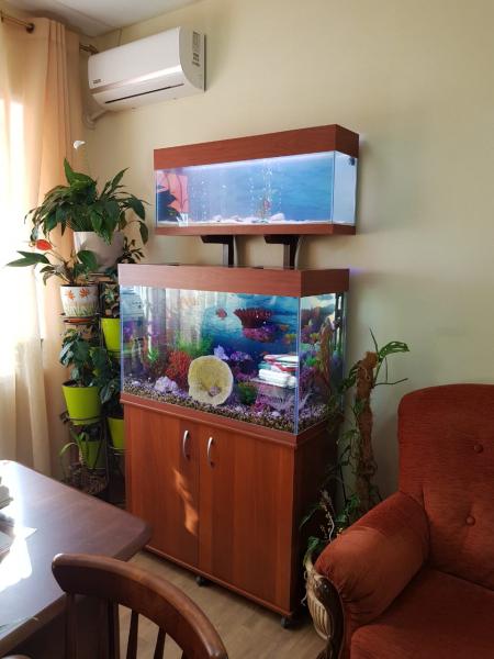 Алексей:  Обслуживание аквариумов