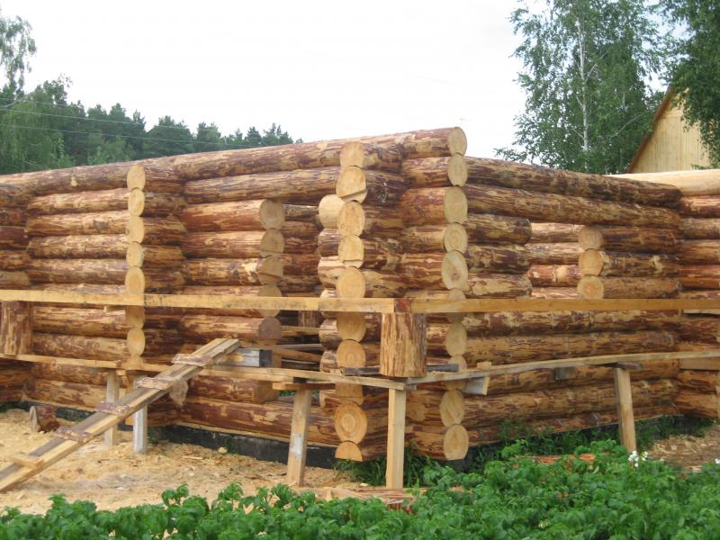 Алексей:  Строительство из дерева