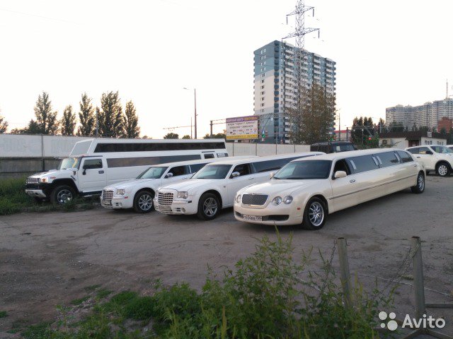 Артем :  Аренда машин на свадьбу, лимузинов, автобусов