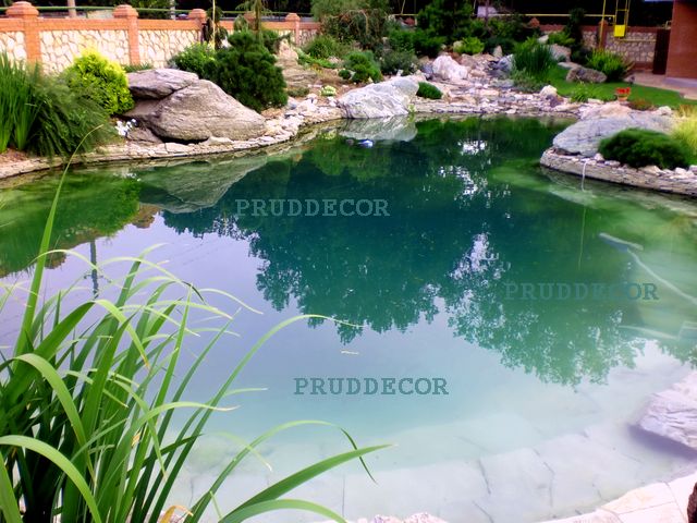 PRUDDECOR:  Строительство биопрудов, водоёмов и водопадов под ключ. 