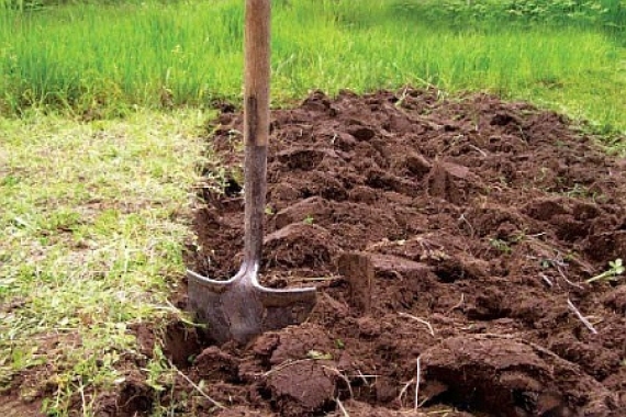 Покос травы Тюмень:  Услуги по вспашке земли на участке мотоблоком в Тюмени