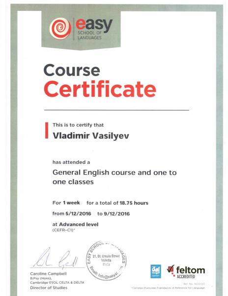 Vladimir Vasilyev:   переводчик/ преподаватель /личный гид