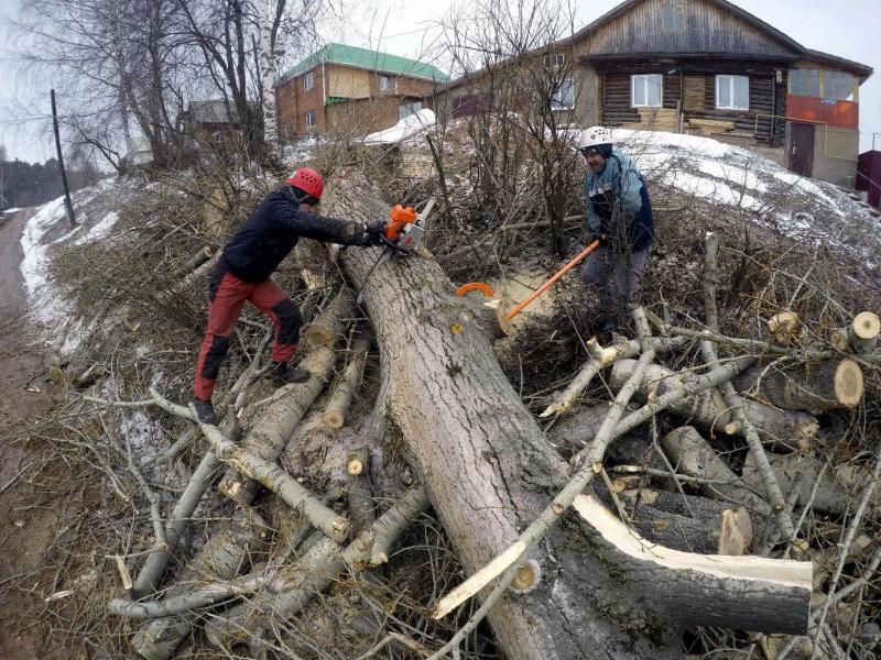 Илья Владимирович:  Спил деревьев, очистка участков