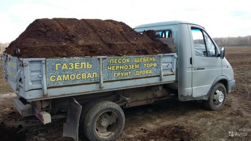 Газель с перегноем фото