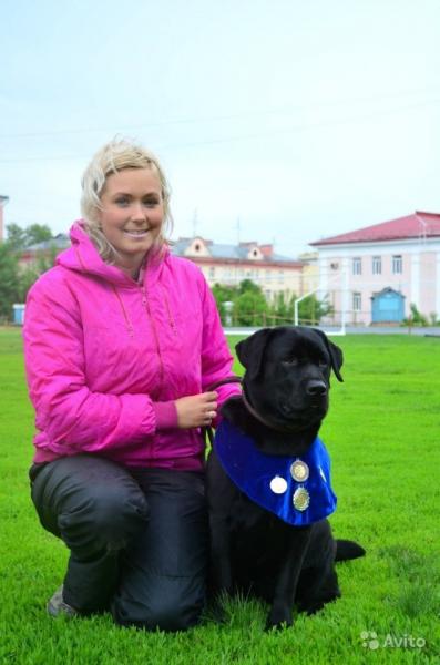 Оксана Раздорская: Воспитание , дрессировка , корекция нежелательного поведения собак в Омске !
