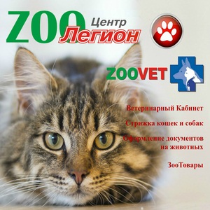 Александр:  Ветеринарные Услуги