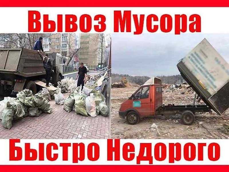 Владимир:  Вывоз мусора/Вывоз хлама