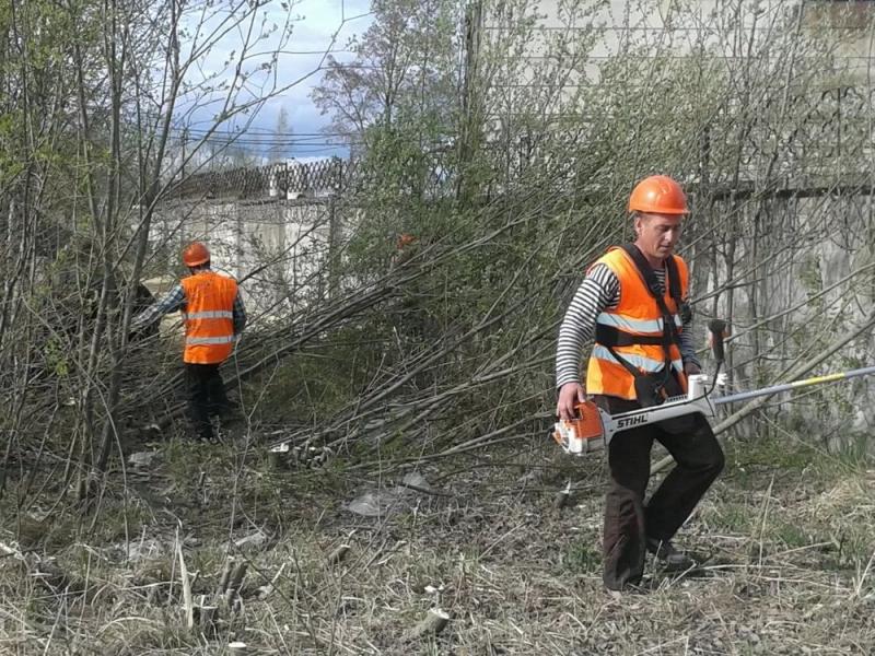 Олег:  Удаление деревьев, расчистка заросших участков
