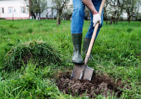 Иван Петрович: земляные работы