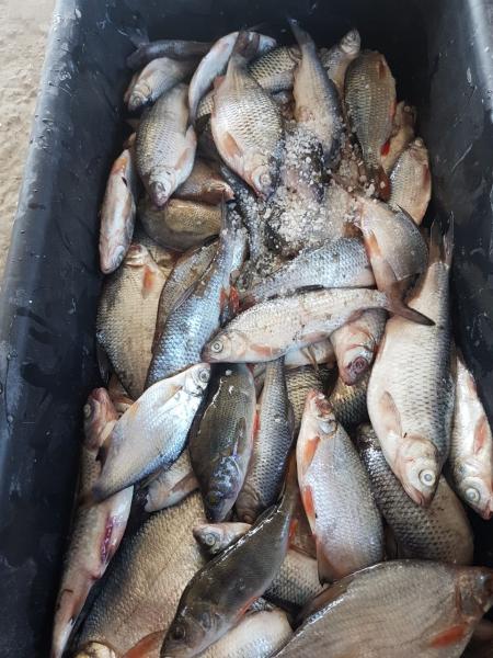 Рыбалка в Астрахани на реке Кигач.Приглашаем на воблу