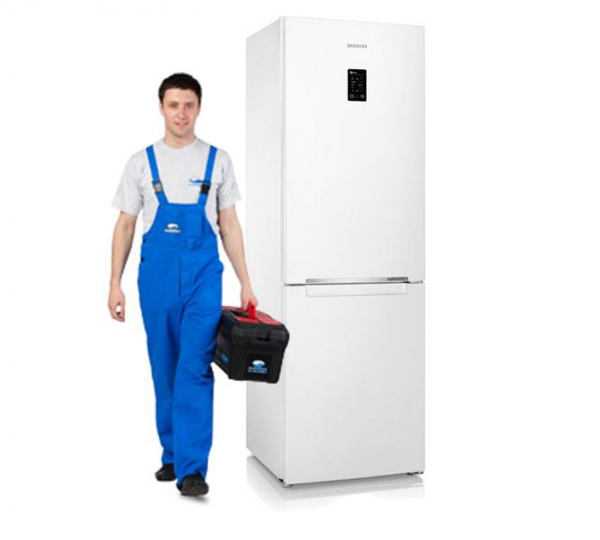 Максим:  Ремонт бытовых холодильников