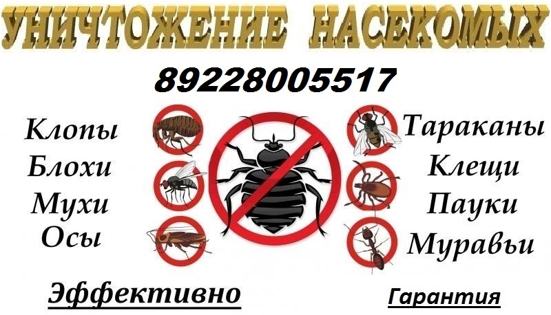 Даниил Сергеевич Кравченко:  Дезинфекция помещений,  уничтожение насекомых