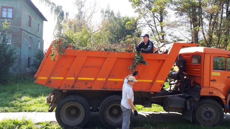 Виталий:  Вывоз мусора с детского сада