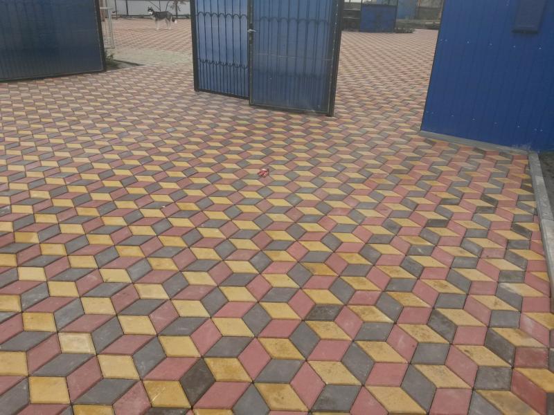 Тимур:  Укладка тротуарной плитки