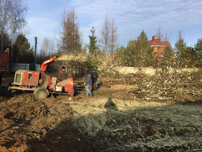 Анна:  Удаление, вырубка и обрезка деревьев в Подольске