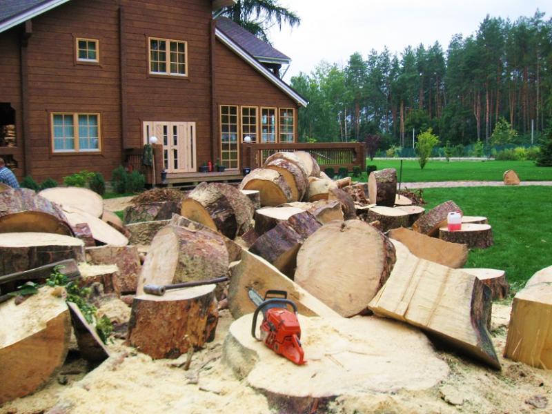 Вячеслав:  Валка деревьев, раскорчёвка, демонтаж с вывозом