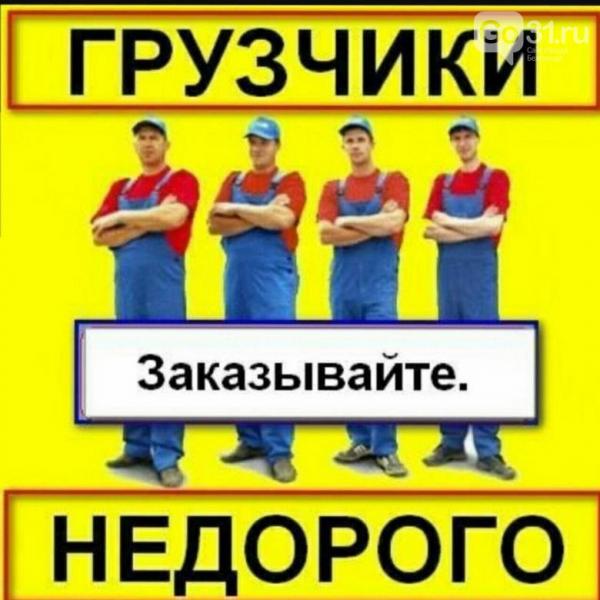 Виталий:  Услуги грузчиков 