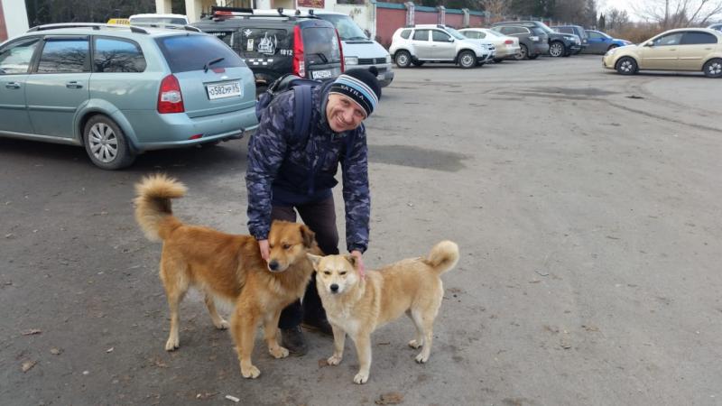 Pavel:  Выгул собак