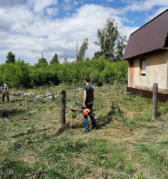 Вячеслав:  Спил деревьев в Кургане