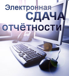 Владимир Виктрыч:  Отчетность через интернет для ИП и ФЛ 