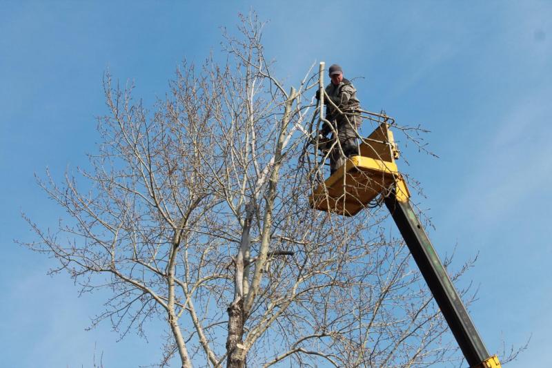 ООО Альп-Лидер:  Кронирование и спил деревьев на кладбище, на даче, около дома